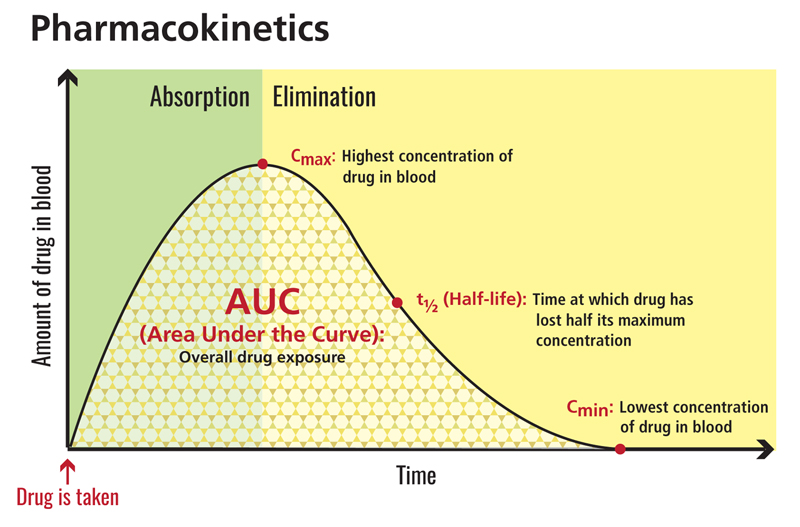 Pharmacokinetic Analysis